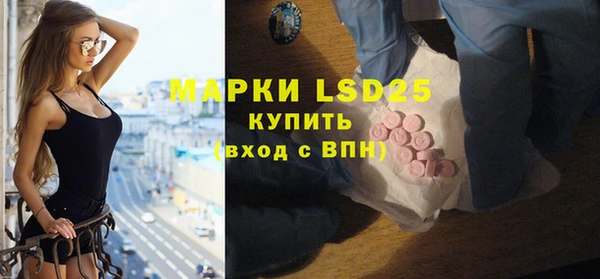 гидра Болохово