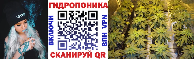 Бошки марихуана Amnesia  закладки  Урень 